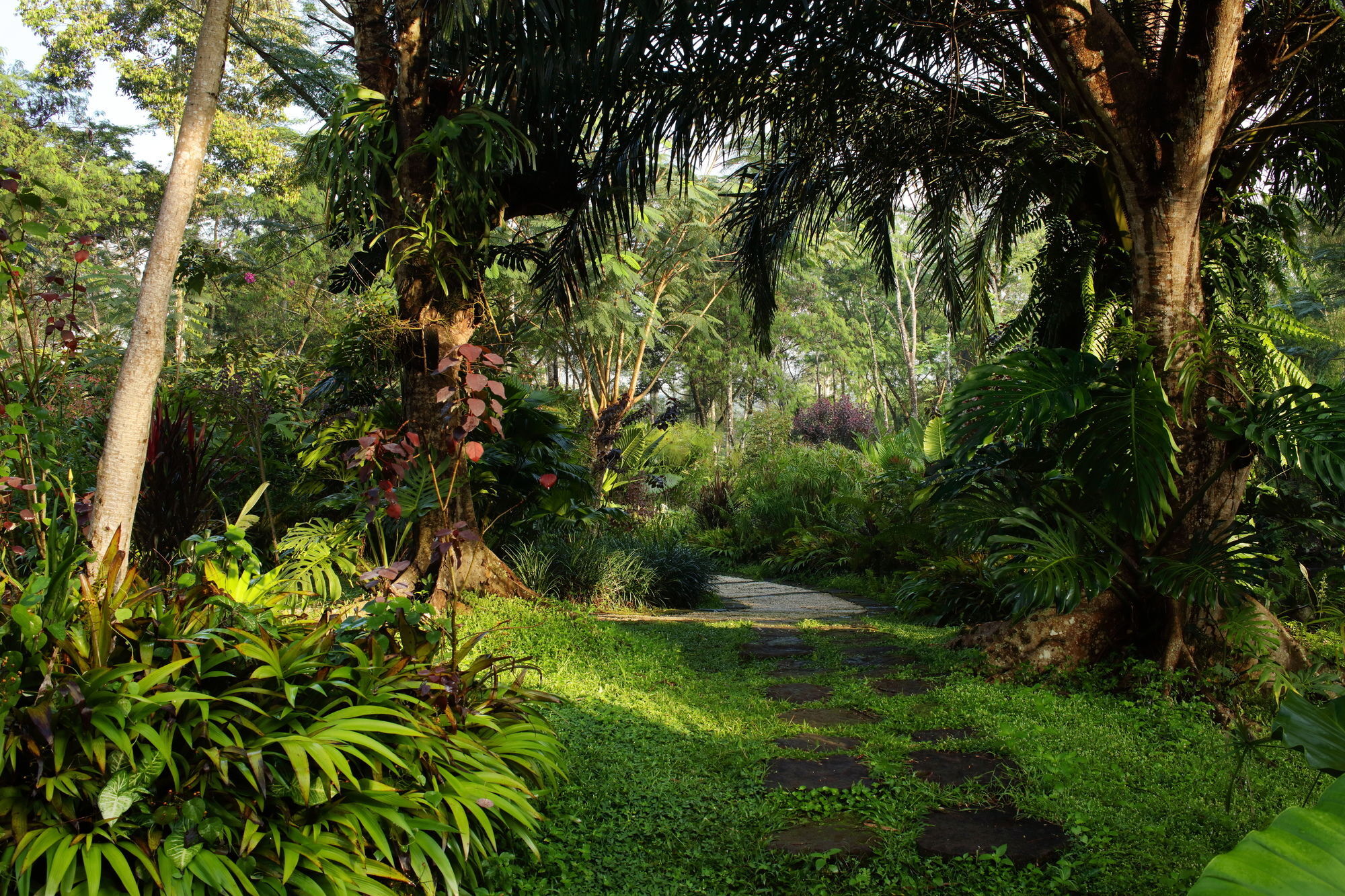 Mesastila Resort And Spa Magelang Extérieur photo